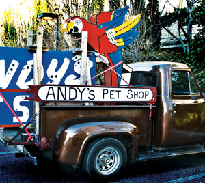 Andys Pet Shop