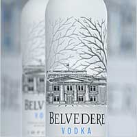 Belvedere VIP Tasting Party