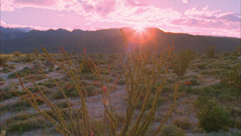 'The Ghost Mountain Experiment'