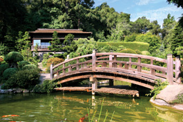 Hakone Gardens