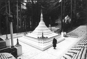 Buddhist monks