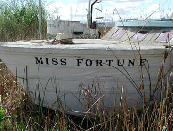 Miss Fortune