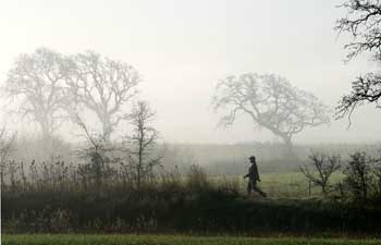 Joe Rodota Trail