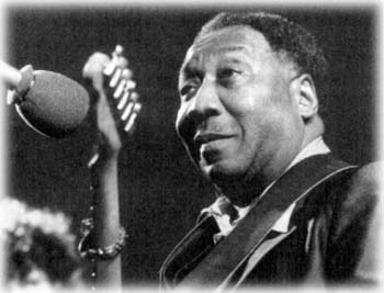 Muddy Waters